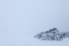 a01yasu-k052.jpg