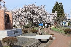 a05shi045.jpg