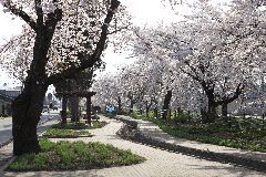 a05shi053.jpg
