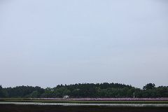 a07haru043.jpg