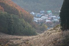 d04ya_k004.jpg