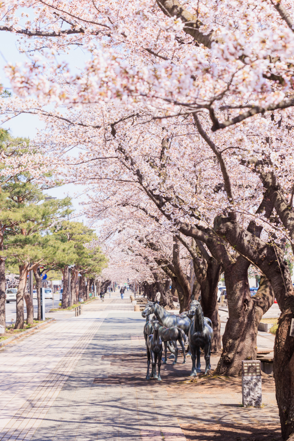 官庁街通り（駒街道）
