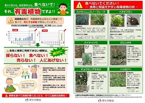 最も有毒なリーフレット