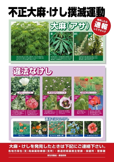 不正大麻・けし撲滅運動