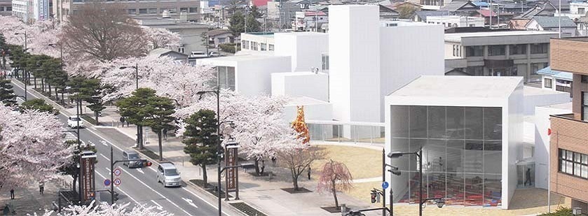 桜と官庁街通りの画像
